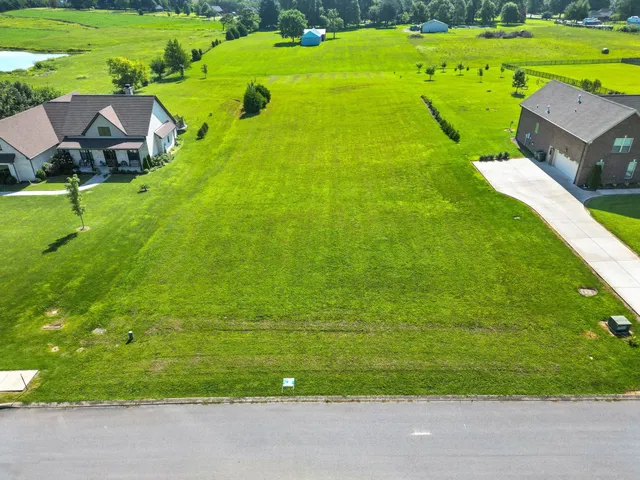 a view of a garden with an outdoor space