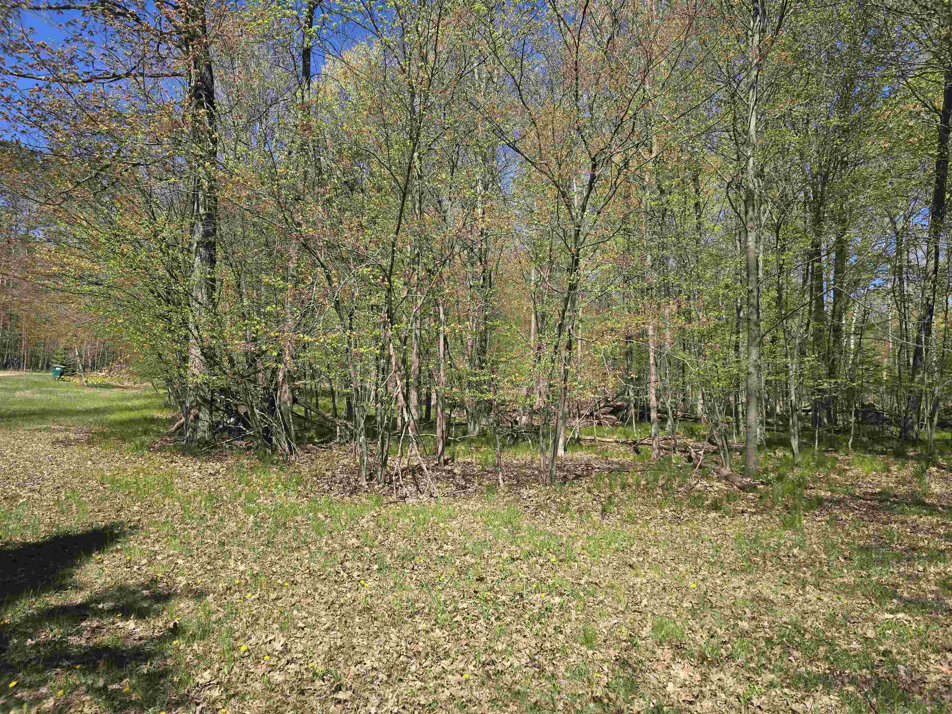 10096 Grindstone Road Evart, MI 49631 - Photo 14 of 17