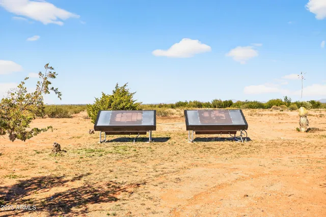 an outdoor space with lots of trees