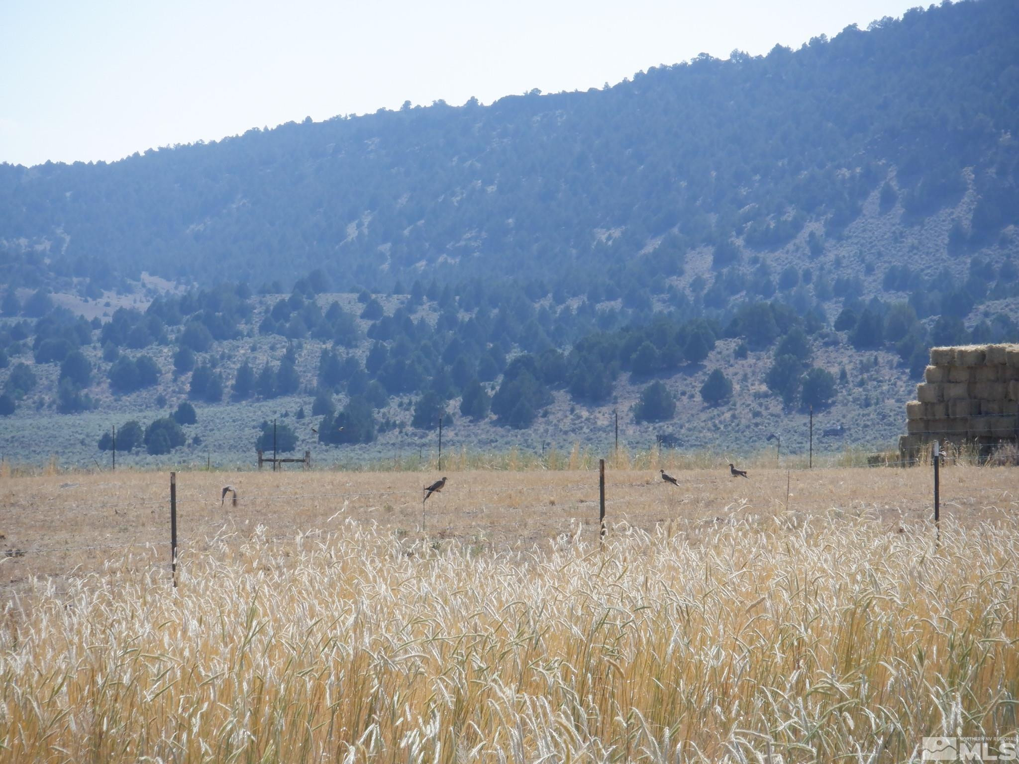 11069 Mosquito Road Gerlach, NV 89412 - Photo 20 of 21 Photo 21