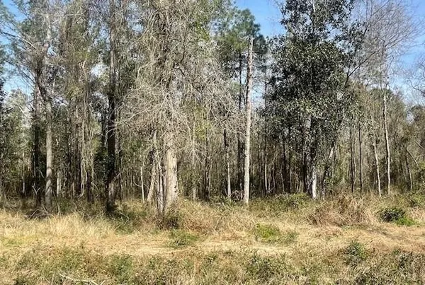 $49,000 | Lot 306 190th Highway, Lacombe, LA 70445