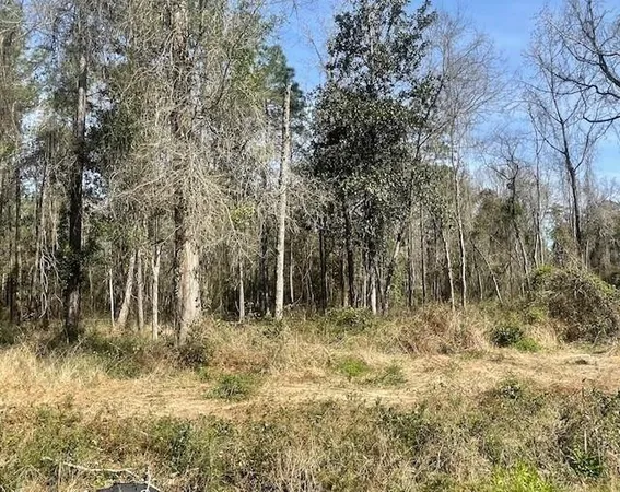 $49,000 | Lot 306 190th Highway, Lacombe, LA 70445