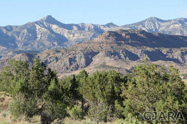 48890 KE Road Mesa, CO 81643 - Photo 3 of 15 Gallery Image 3
