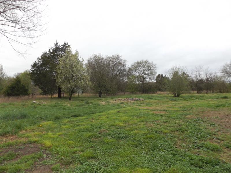 5560 Murfreesboro Road Lebanon, TN 37090 - Photo 17 of 20 a big yard with lots of green space