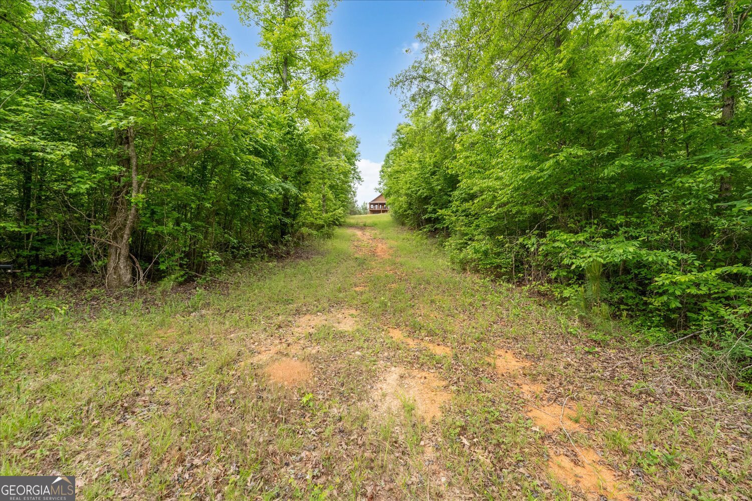 299 Hunting Club Road Southwest Crawfordville, GA 30631 - Photo 6 of 45