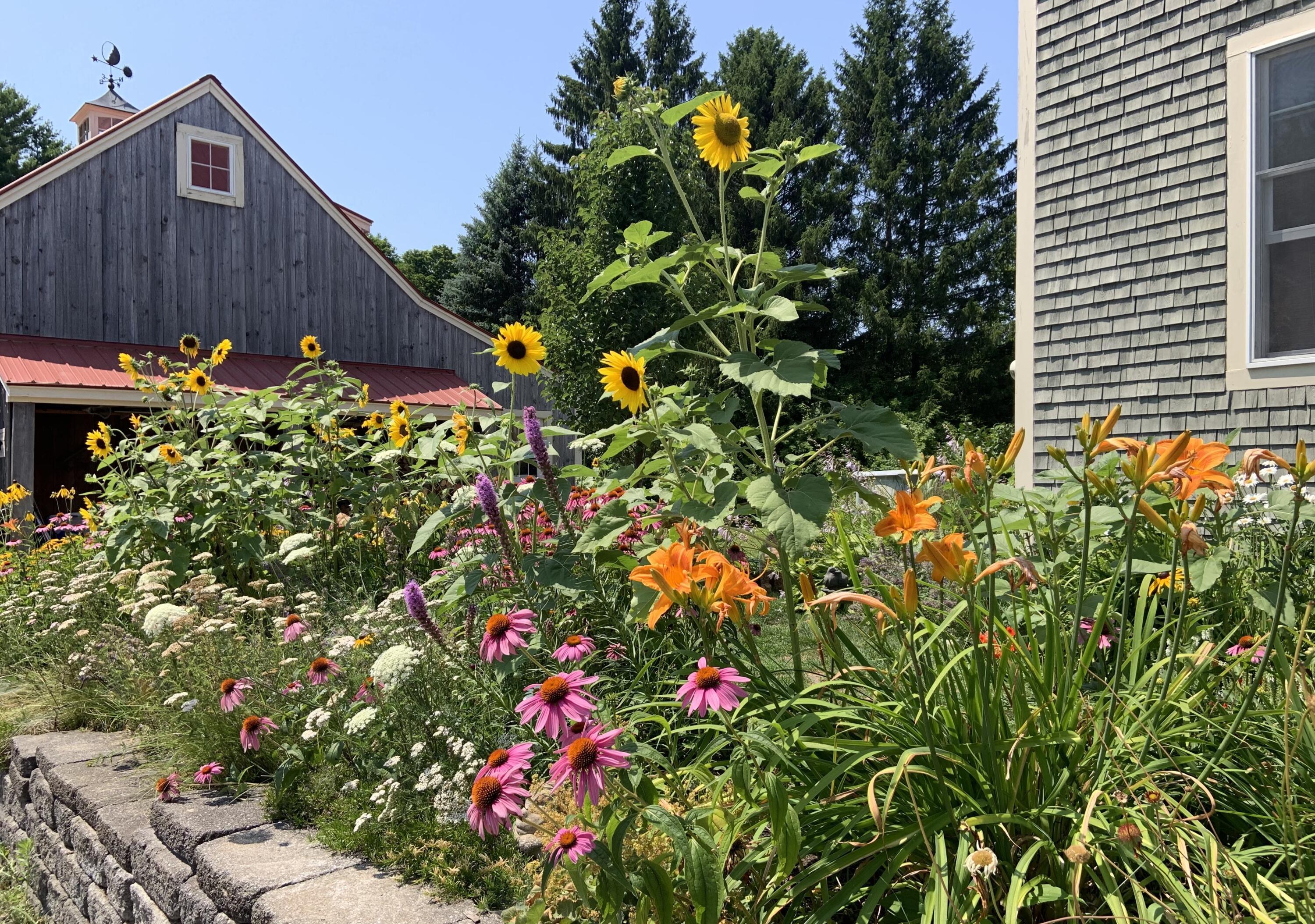 211 Beech Ridge Road York, ME 03909 - Photo 37 of 37 23RedRoof_gardens