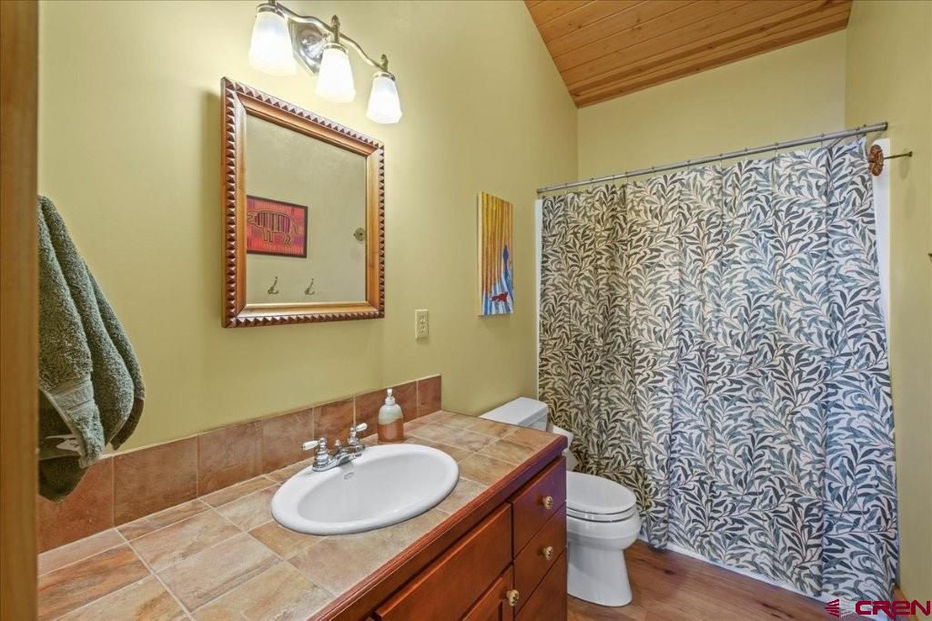 444 Which Way Ridgway, CO 81432 - Photo 15 of 36 a bathroom with a sink a toilet and shower curtain
