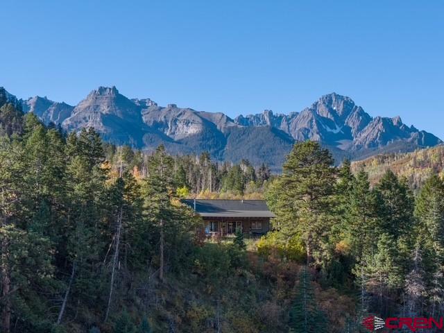 444 Which Way Ridgway, CO 81432 - Photo 2 of 36 a view of a house with a yard and garden