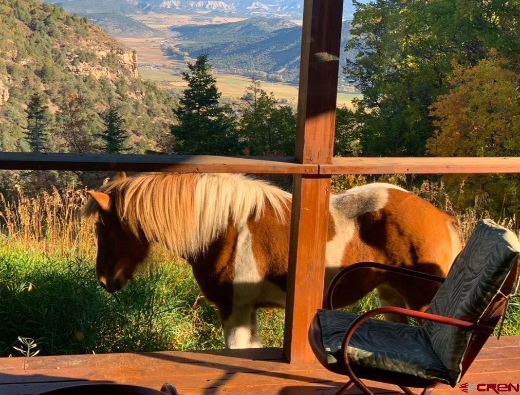 444 Which Way Ridgway, CO 81432 - Photo 25 of 36 a view of swimming pool with a patio