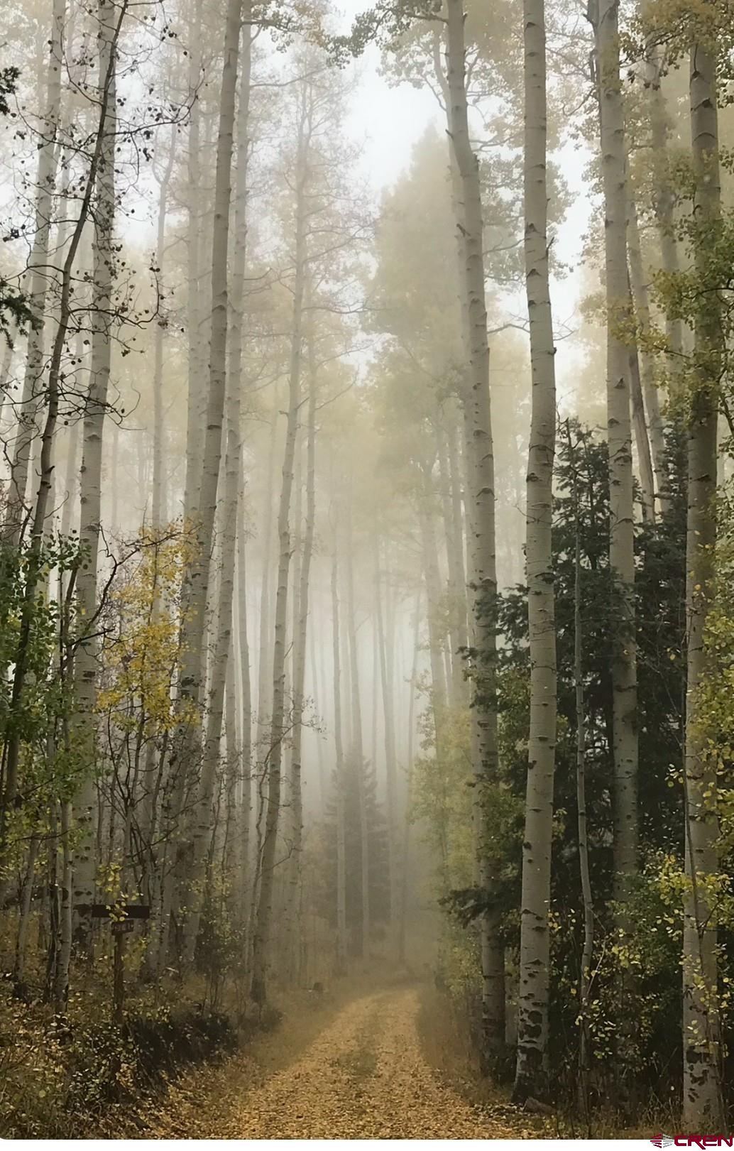 444 Which Way Ridgway, CO 81432 - Photo 29 of 36 a bathroom with a shower