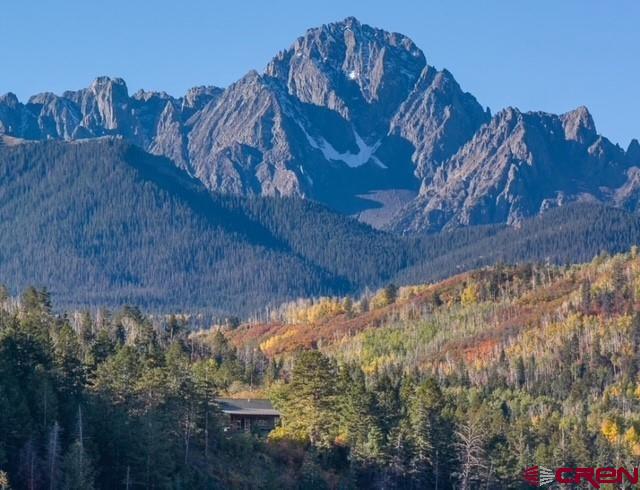 444 Which Way Ridgway, CO 81432 - Photo 36 of 36 a view of a tree in a yard