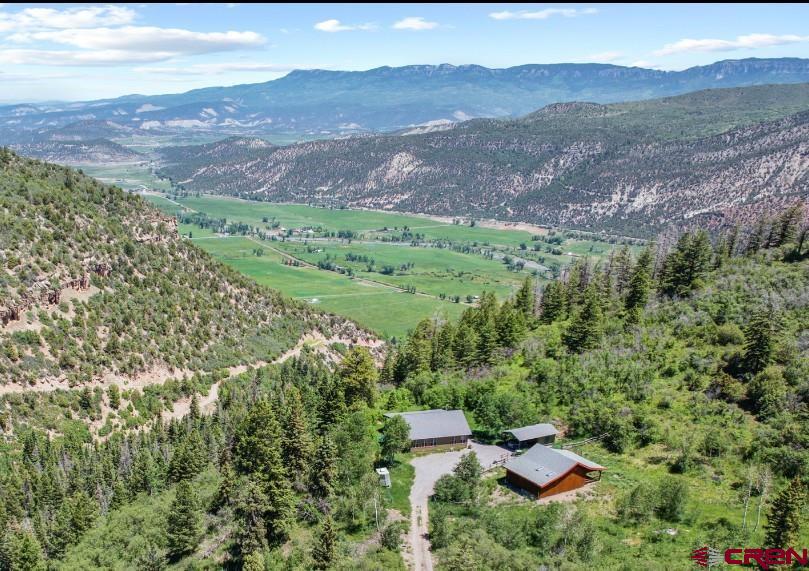444 Which Way Ridgway, CO 81432 - Photo 4 of 36 a view of a lush green hillside and houses