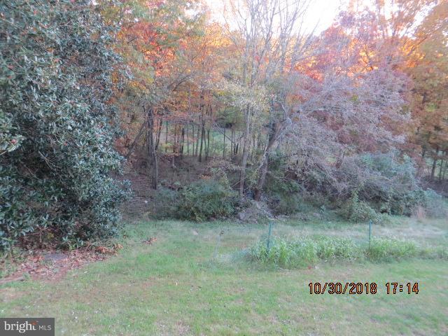6923 Pinecrest Road Baltimore, MD 21228 - Photo 7 of 14 a view of a lush green forest