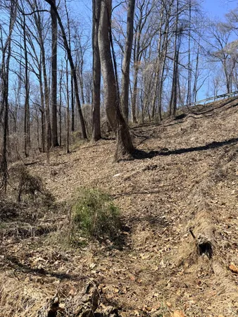 $89,000 | 0 Country Club Road, Appomattox, VA 24522