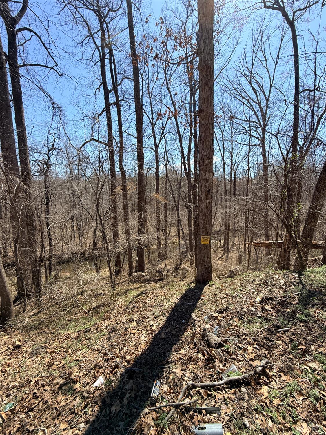 0 Country Club Road Appomattox, VA 24522 - Photo 5 of 9 a view of a backyard of the house