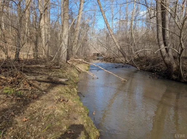 a view of a yard with trees