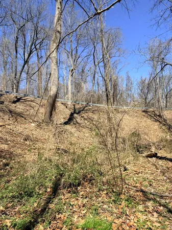 a view of snow on the side of a road