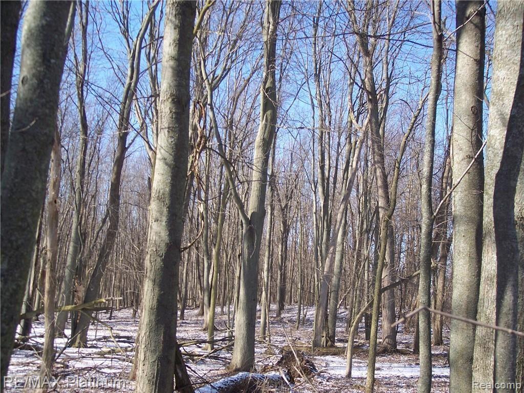 Parcel A Bell Oak Road Webberville, MI 48892 - Photo 6 of 48