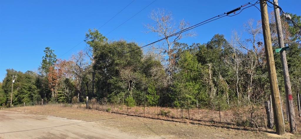 7195 Gas Line Road Keystone Heights, FL 32656 - Photo 1 of 8