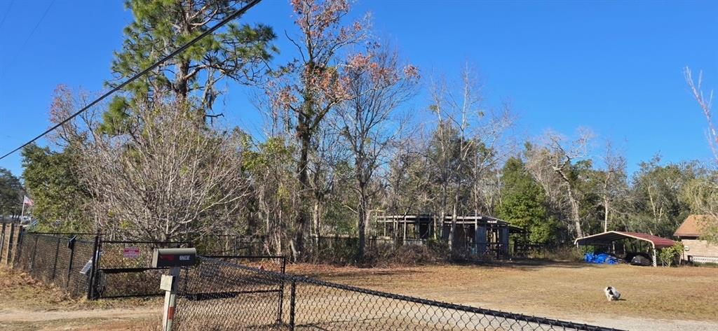 7195 Gas Line Road Keystone Heights, FL 32656 - Photo 2 of 8