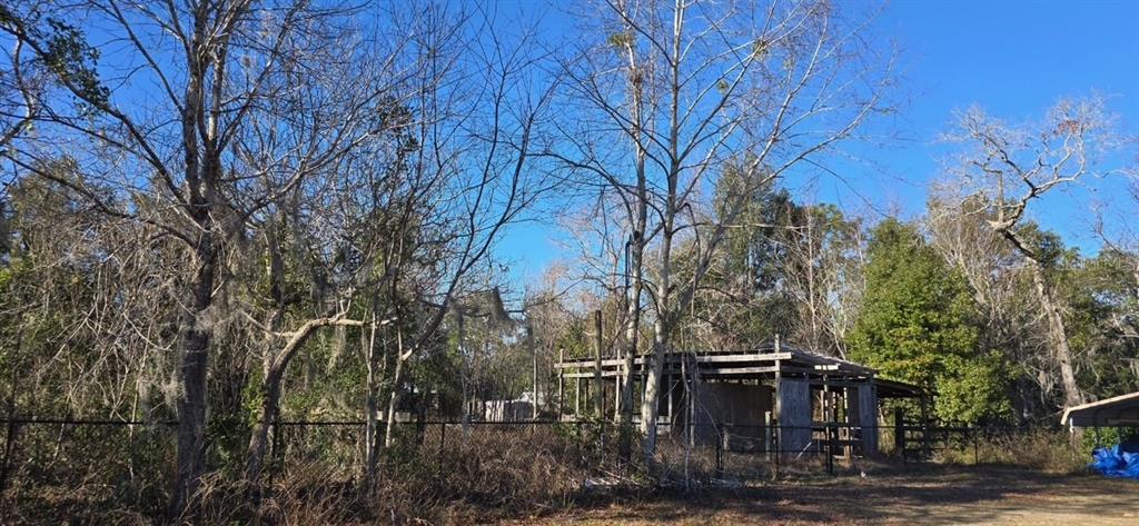 7195 Gas Line Road Keystone Heights, FL 32656 - Photo 7 of 8 a view of house with trees all around