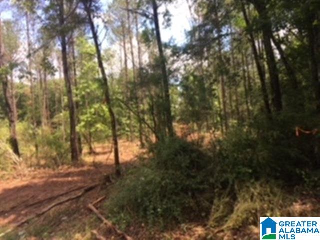 325 Springhill Road, Unit 1 Talladega, AL 35160 - Photo 18 of 31