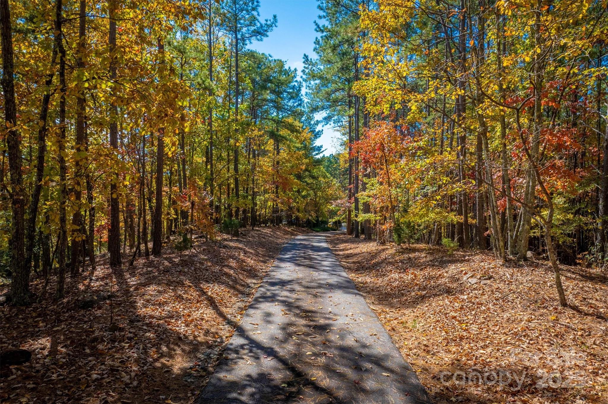 4030 South View Boulevard Morganton, NC 28655 - Photo 35 of 43 a view of a tree in the middle of a yard