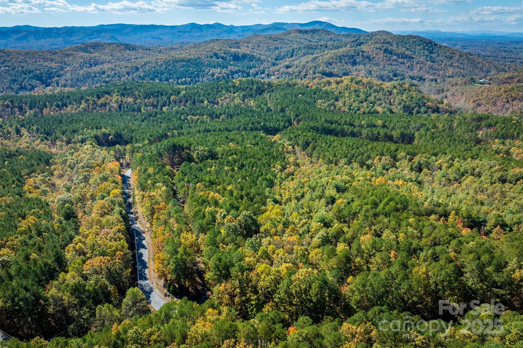 4030 South View Boulevard Morganton, NC 28655 - Photo 37 of 43 a view of a lush green forest with trees in the background