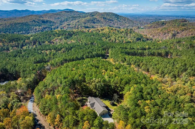 an aerial view of a residential houses covered in trees