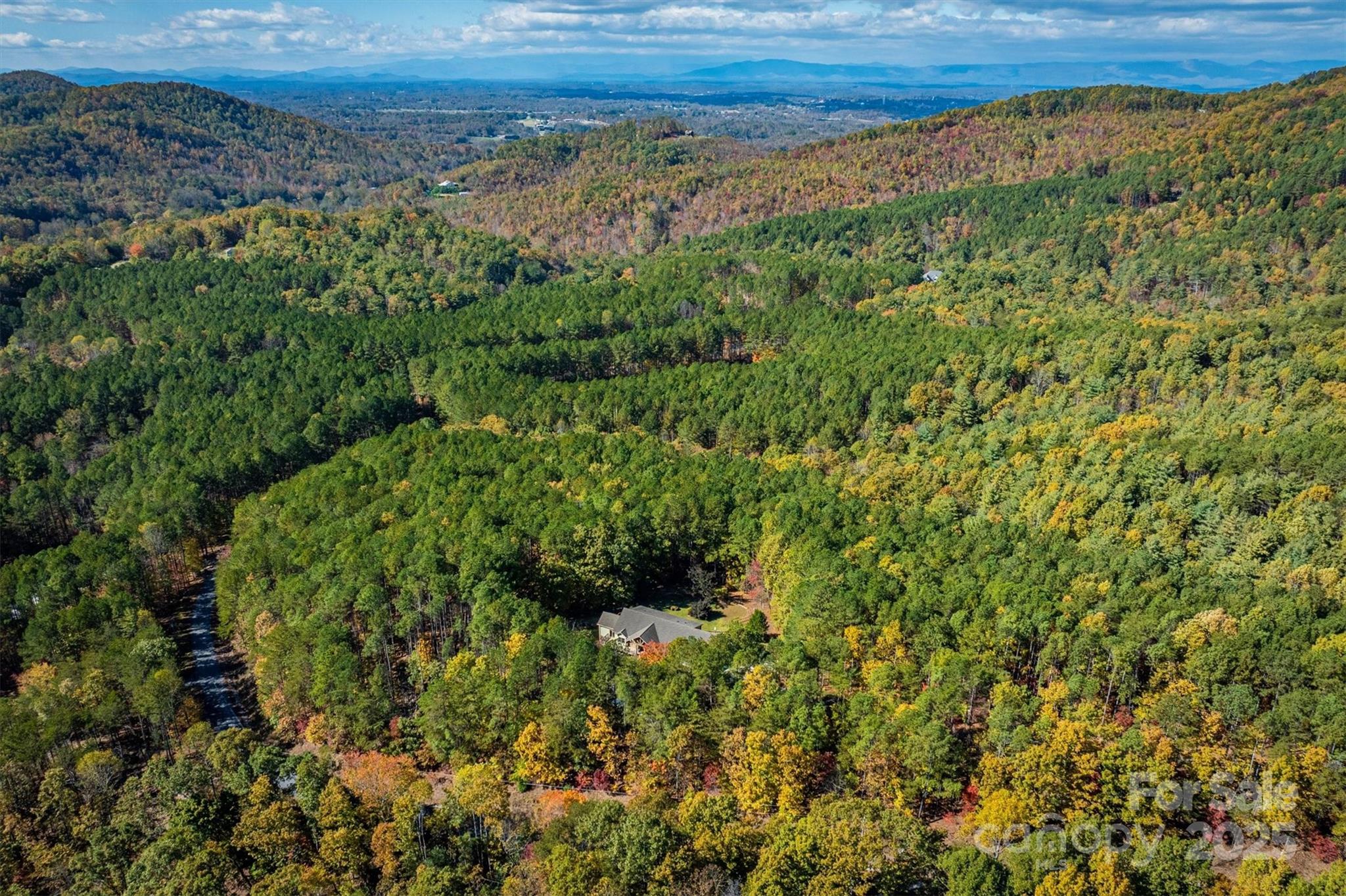 4030 South View Boulevard Morganton, NC 28655 - Photo 40 of 43 a view of a lush green forest with a lake