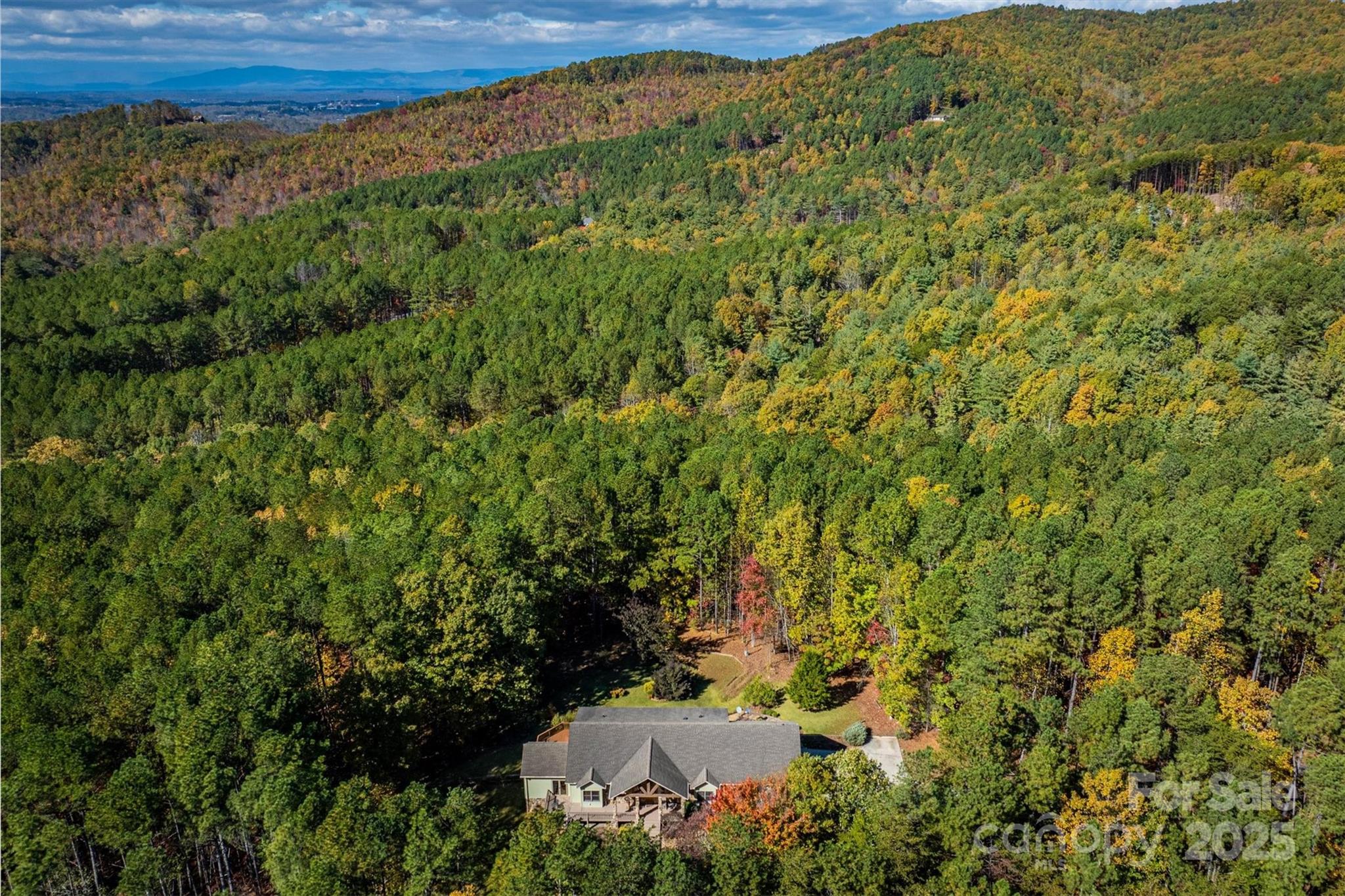 4030 South View Boulevard Morganton, NC 28655 - Photo 41 of 43 a view of a bunch of trees