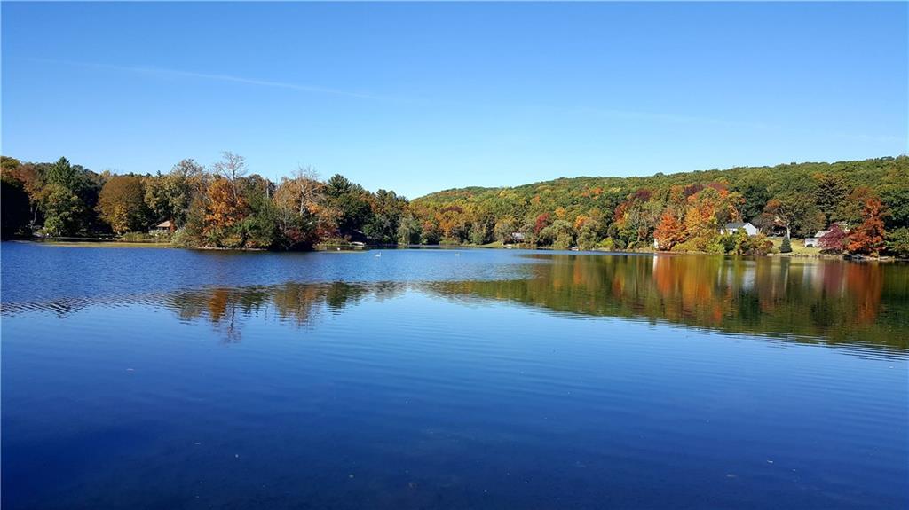 a view of a lake with mountain in the background