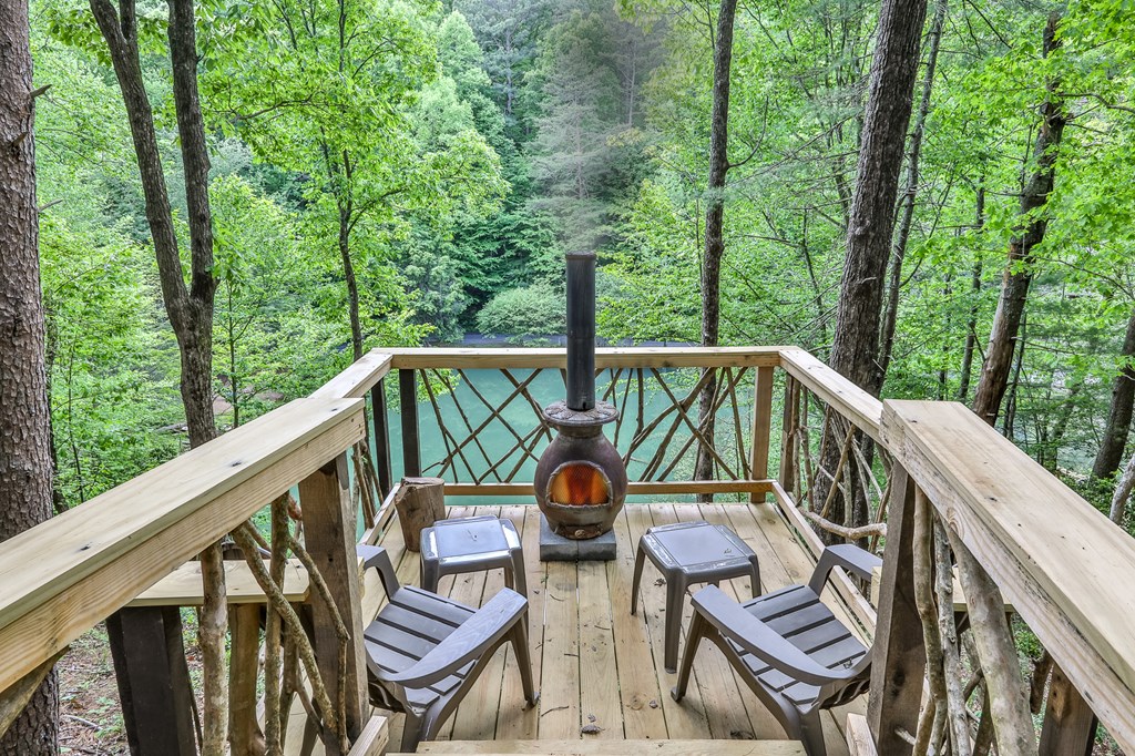 137 Little Beaver Drive Blue Ridge, GA 30513 - Photo 14 of 19