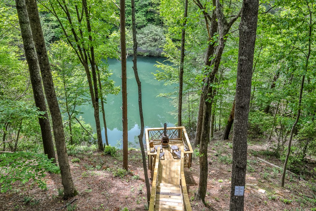 137 Little Beaver Drive Blue Ridge, GA 30513 - Photo 2 of 19