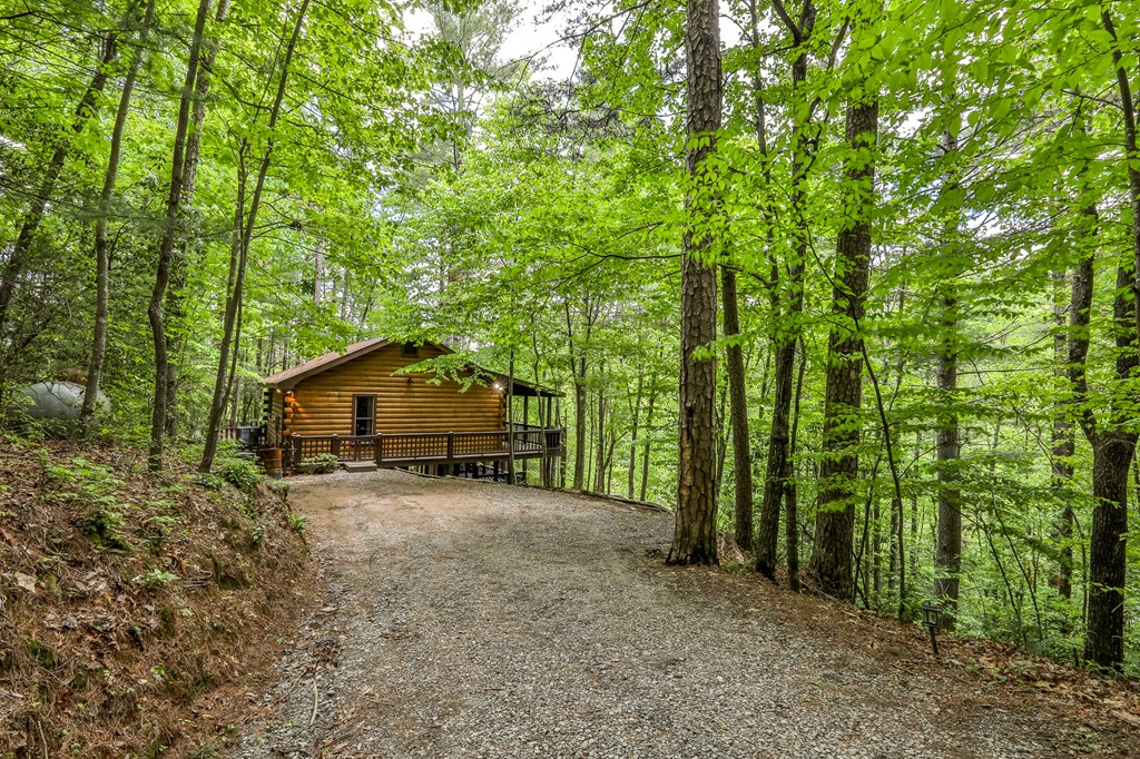 137 Little Beaver Drive Blue Ridge, GA 30513 - Photo 10 of 19