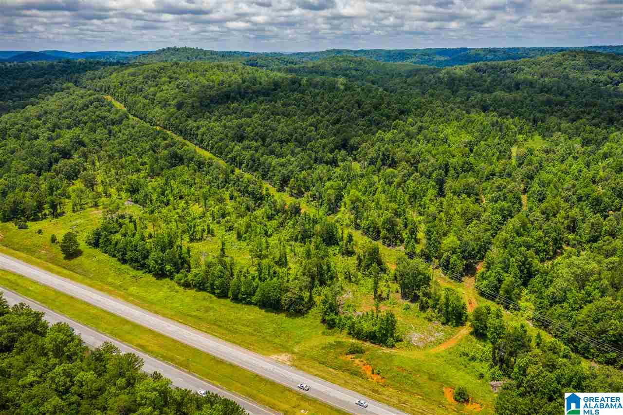 0 Highway 75, Unit 5032 Oneonta, AL 35121 - Photo 5 of 18