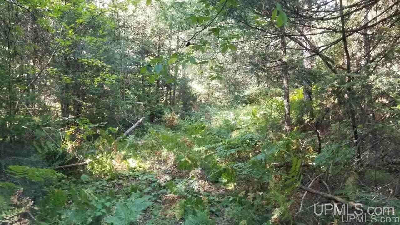 Tbd Fishing Site Road, Unit 1 Amasa, MI 49903 - Photo 14 of 19