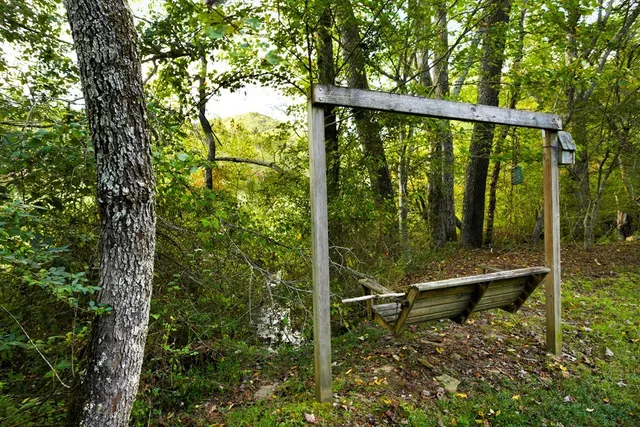 a view of a garden with large trees