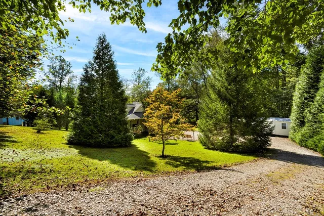 a view of a yard with plants and a bench