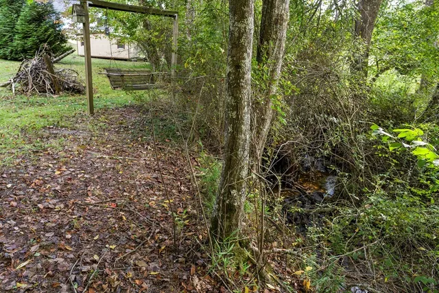 a view of a tree in a yard