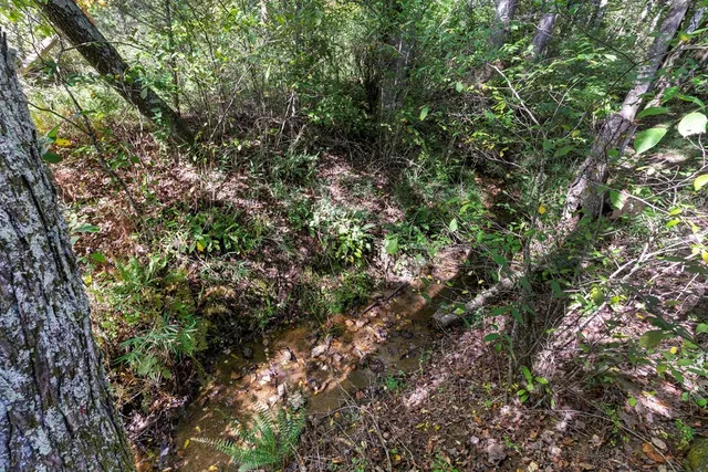 a view of a city with mountain