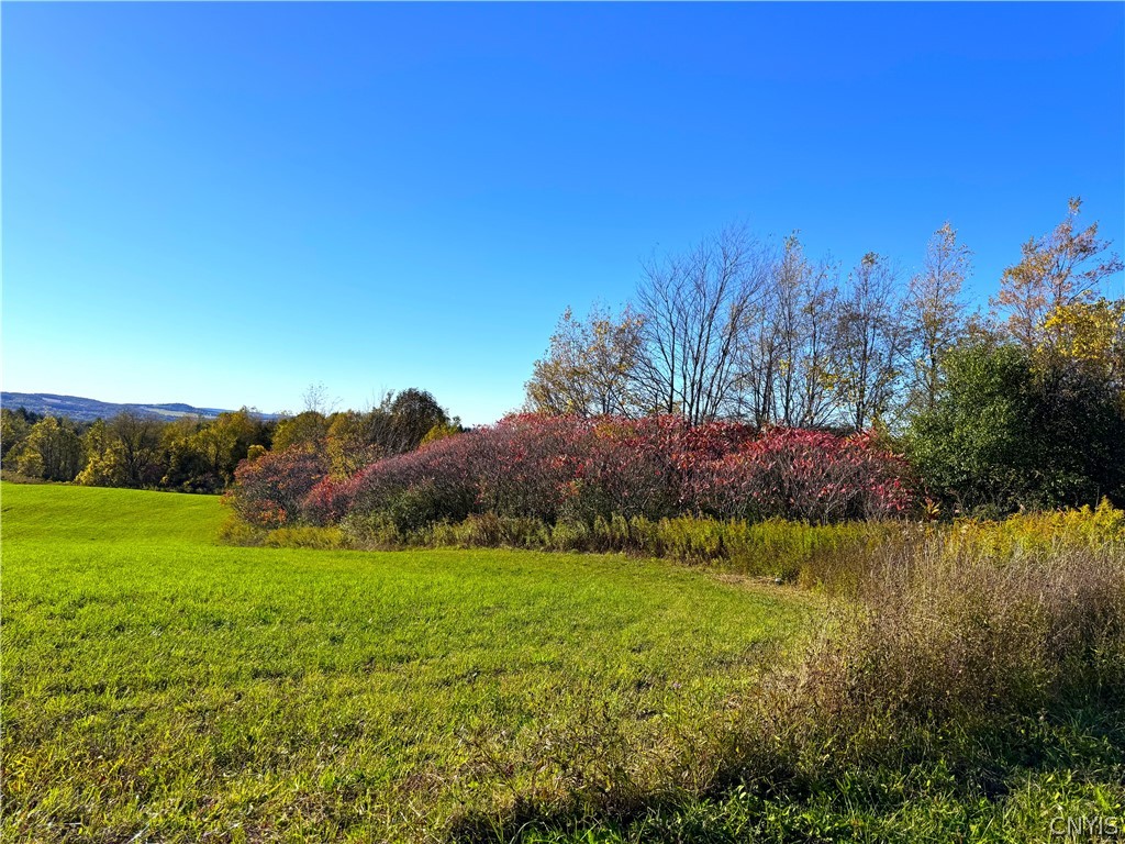 Graffenburg Road New Hartford, NY 13413 - Photo 11 of 29