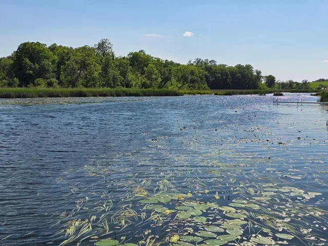 $399,000 | Tract C Blybergs Lane, Pelican Rapids, MN 56572