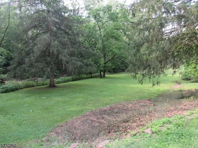 a view of a park with large trees