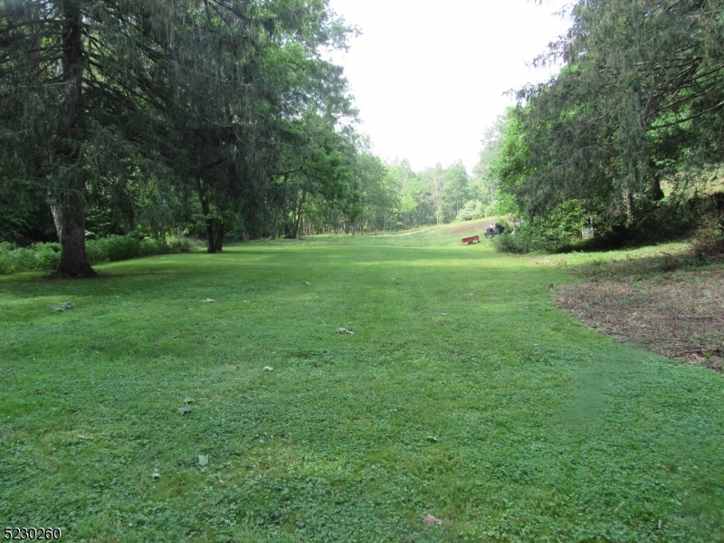 275 Creek Road Frenchtown, NJ 08825 - Photo 22 of 27 a view of field with trees in the background