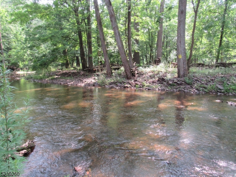 275 Creek Road Frenchtown, NJ 08825 - Photo 24 of 27 a backyard of a house with lots of green space