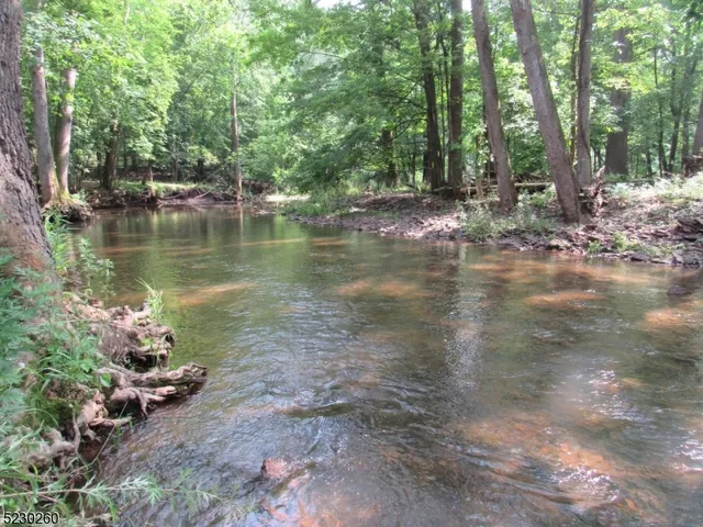 a view of a lake with a forest
