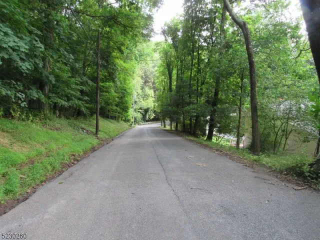 a view of a road with trees in the background