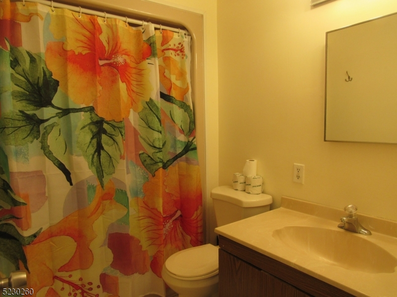 275 Creek Road Frenchtown, NJ 08825 - Photo 4 of 27 a bathroom with a sink and toilet