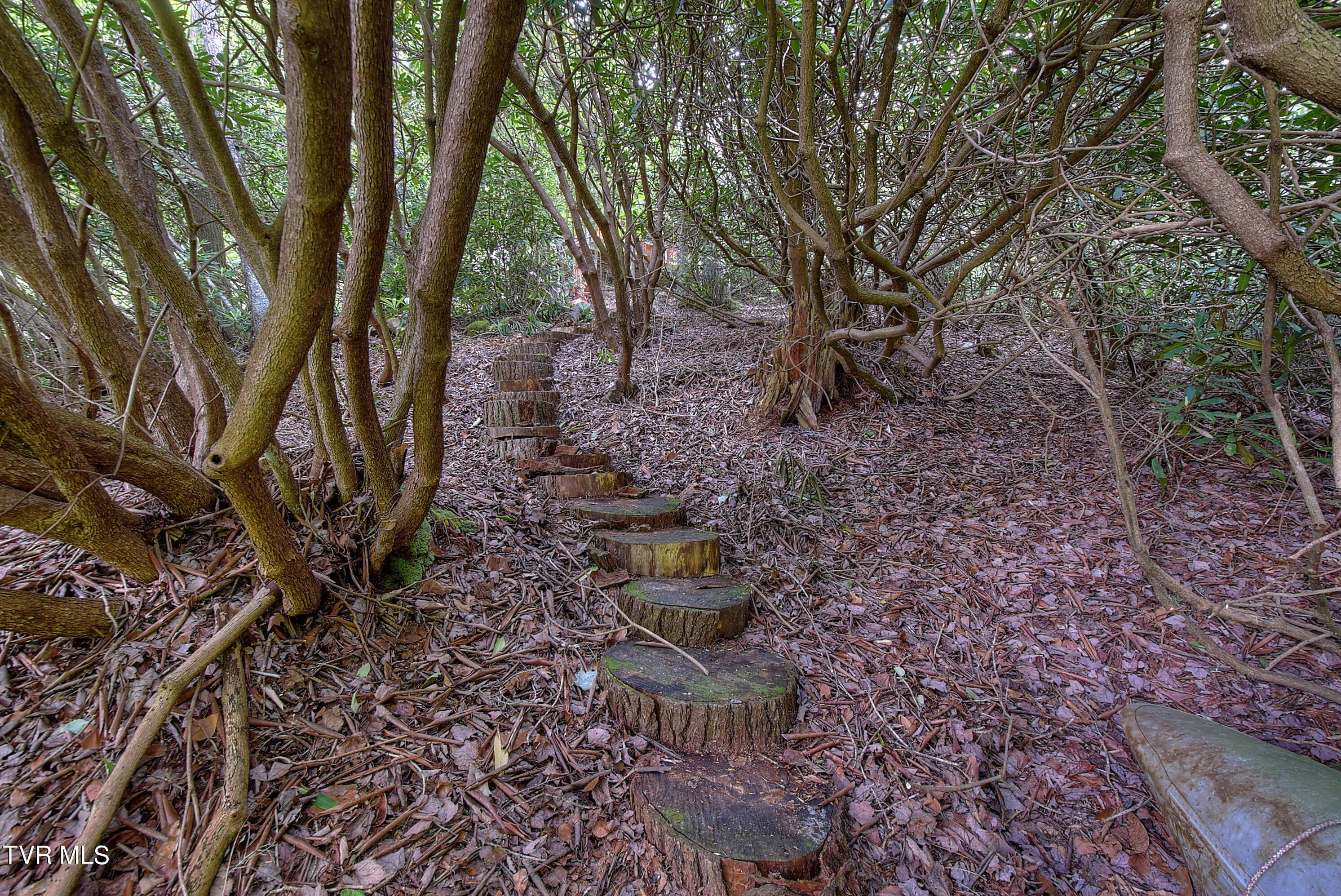 106 Ripshin Lake Road Roan Mountain, TN 37687 - Photo 28 of 36 Path to Fishing Dock